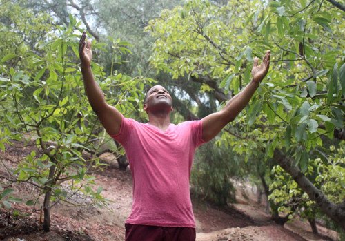 Joyful in the Orchard